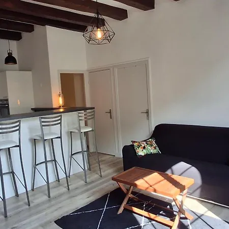 Trois Pieces De Charme Hyper Centre Apartamento Tours