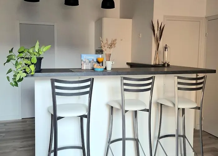 Trois Pieces De Charme Hyper Centre Tours