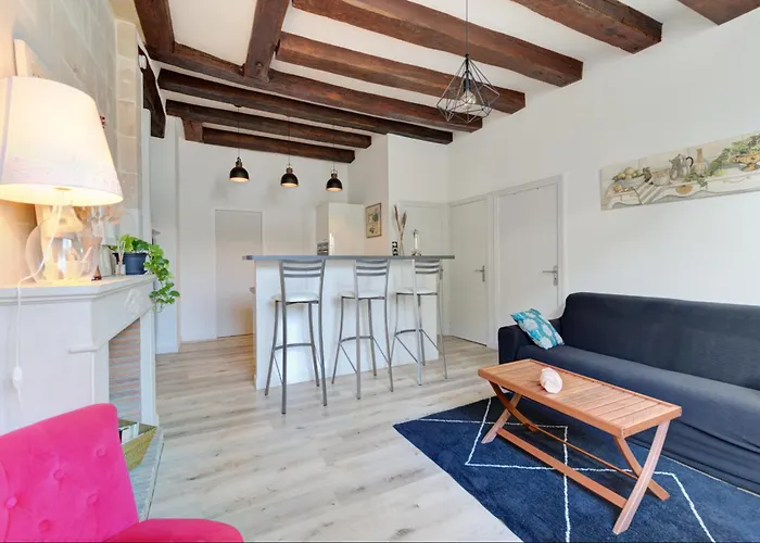 Trois Pieces De Charme Hyper Centre Tours