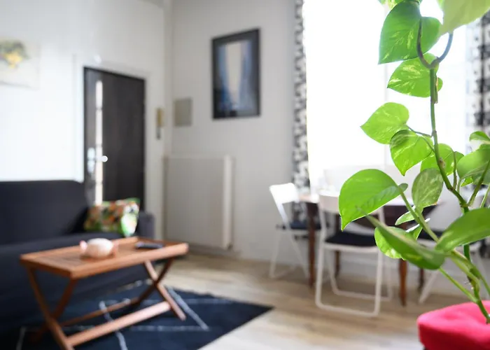 Appartement Trois Pieces De Charme Hyper Centre *