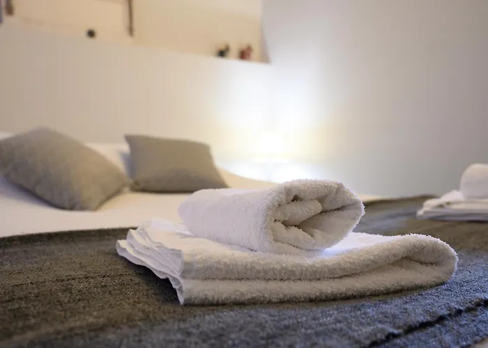 Trois Pieces De Charme Hyper Centre Appartement Tours